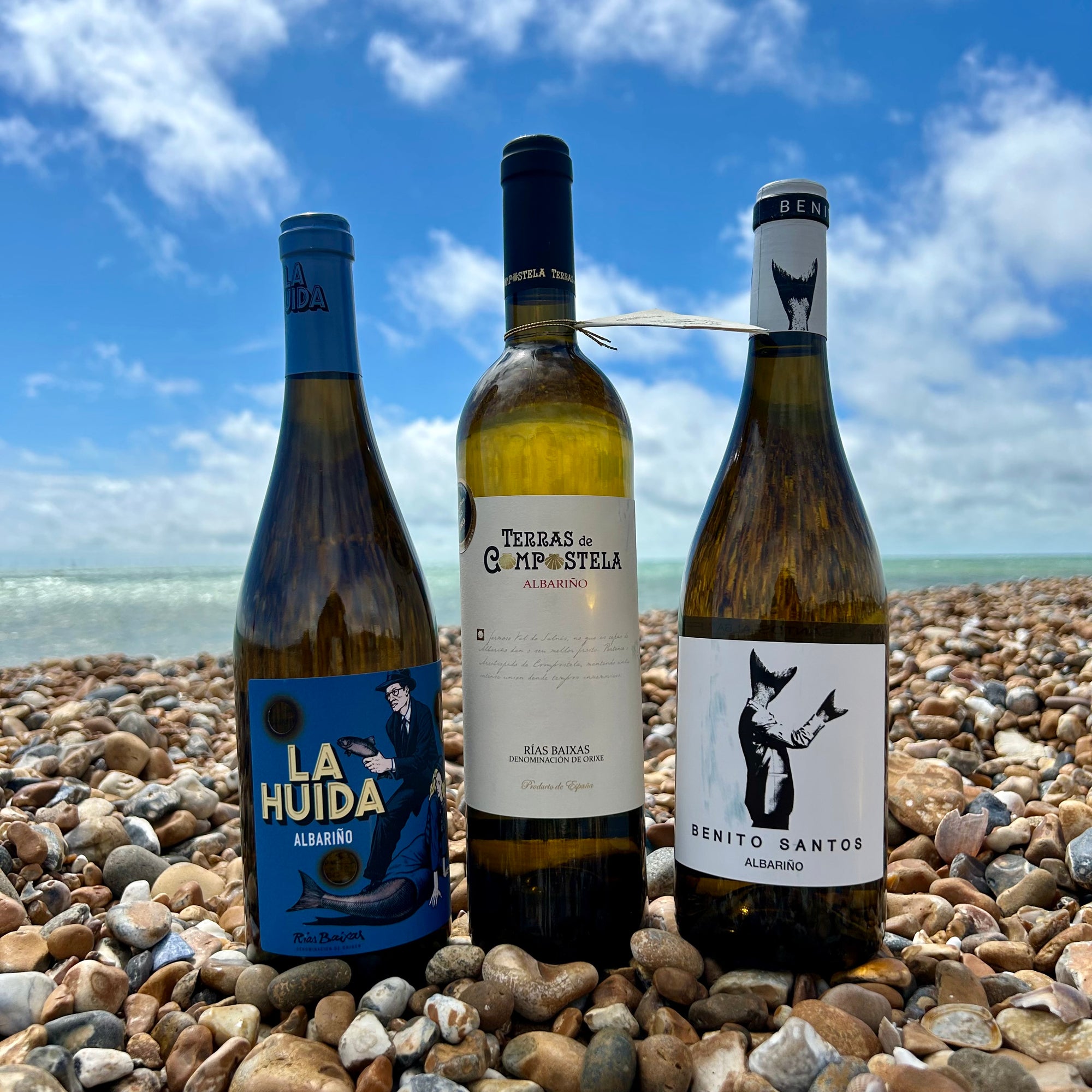 Rias Baixas - A Taste of the Atlantic