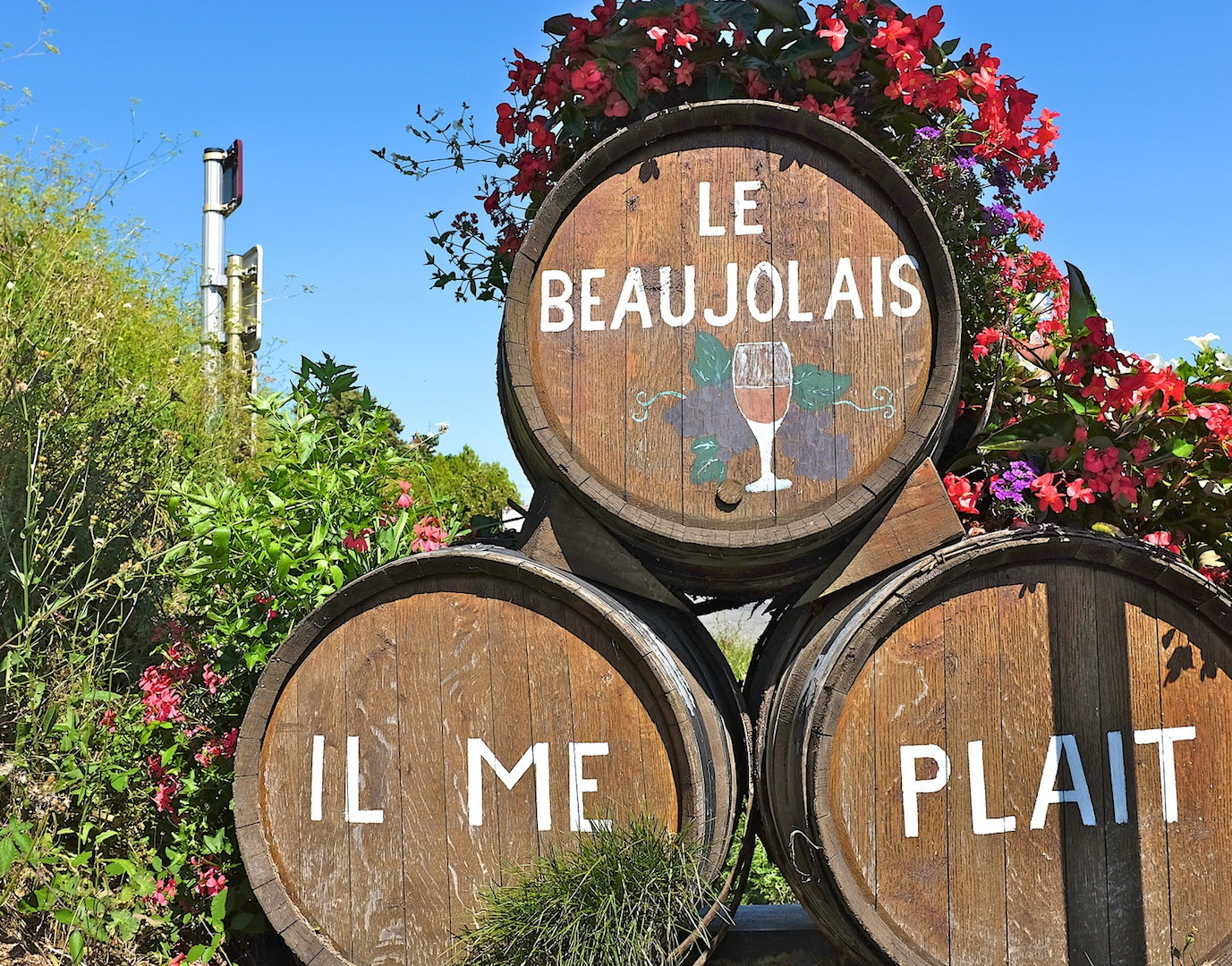 Beaujolais - Nouveau and Beyond