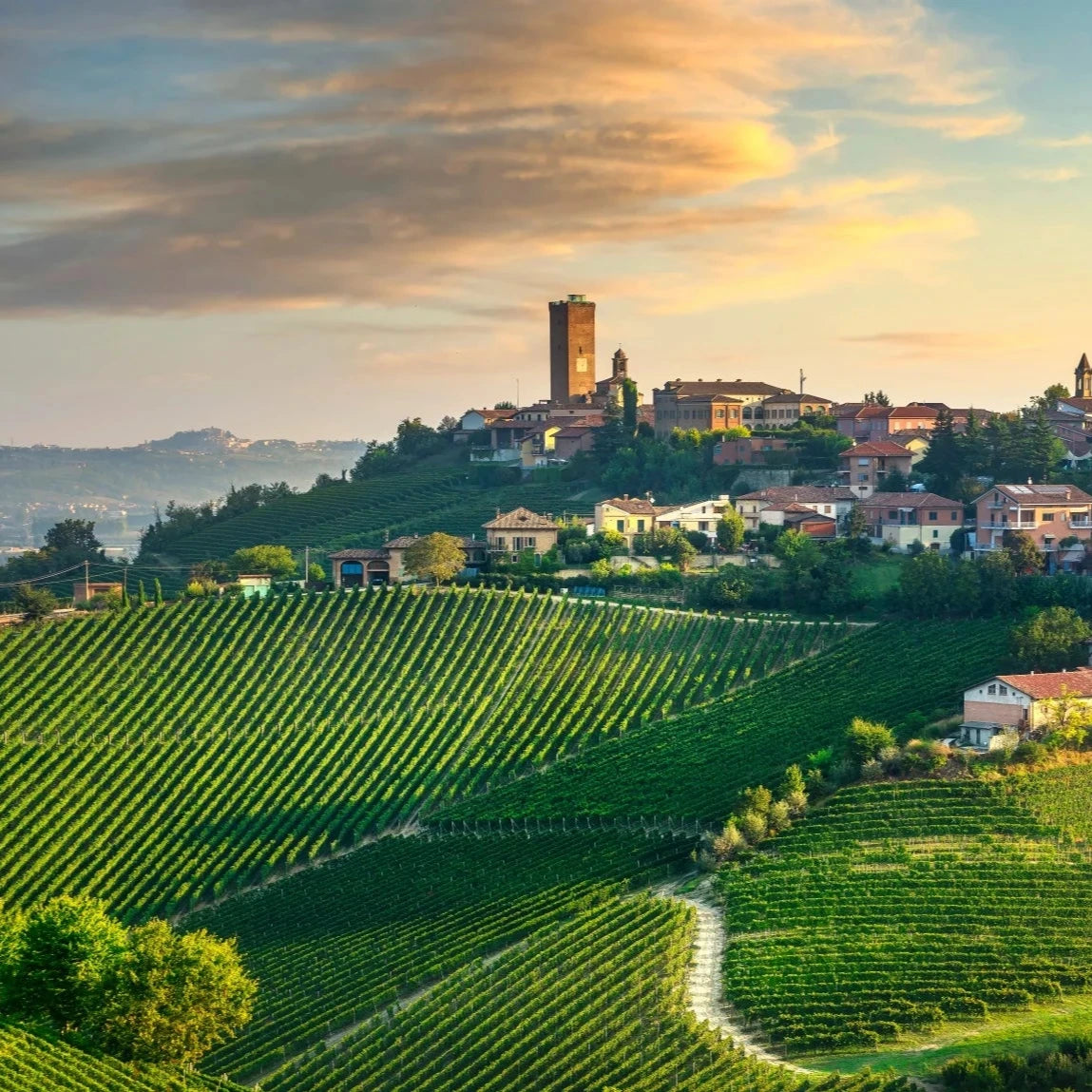 Barbaresco Tasting with Mark Perna - Friday 21st March 7:15-8:45pm