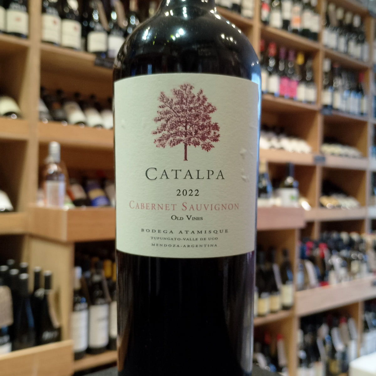 Bodega Atamisque Catalpa Cabernet Sauvignon 2022 - Butler&#39;s Wine Cellar Brighton